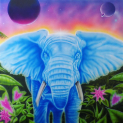 Elephantasy - SOLGT