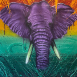 Purple Elephant